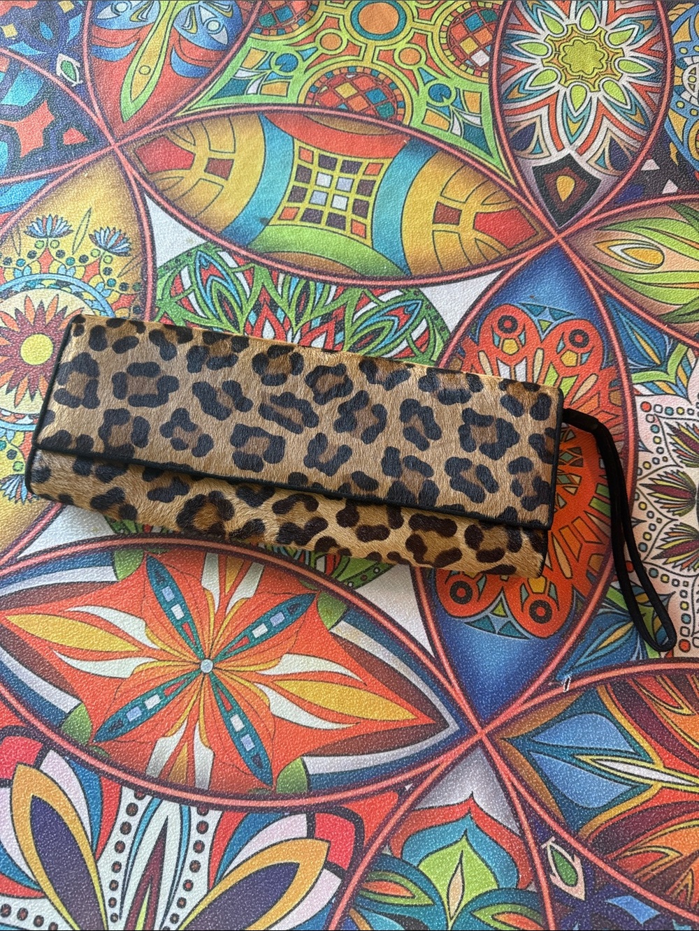 Leopard Print Foldable Sunglasses Case - Women Accessories